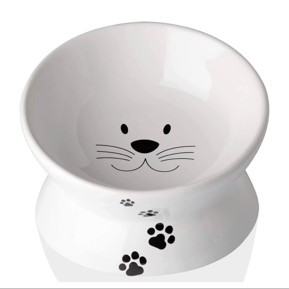 Elevated Cat Bowls for Cats and Small Dogs